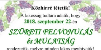 Szüreti felvonulás Gyöngyösfaluban