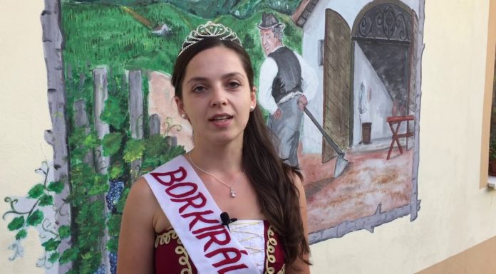 Legyél Borkirálynő 2018 ban!