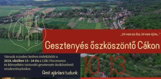 Gesztenyés őszköszöntő Cákon