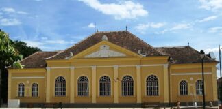 Erzsébet napi újbor bemutató Csepregen