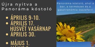 Kőszegi Buschenschank