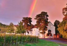 Magyarország első borturisztikai kiállítása