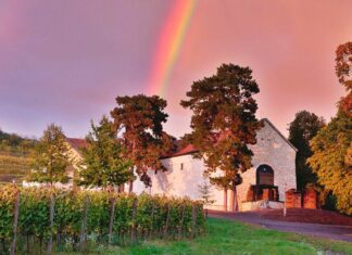 Magyarország első borturisztikai kiállítása