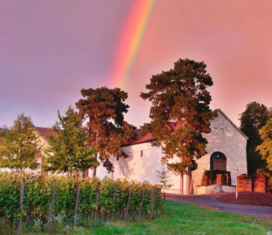 Magyarország első borturisztikai kiállítása
