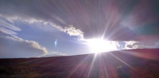 Bor és panorámakóstoló