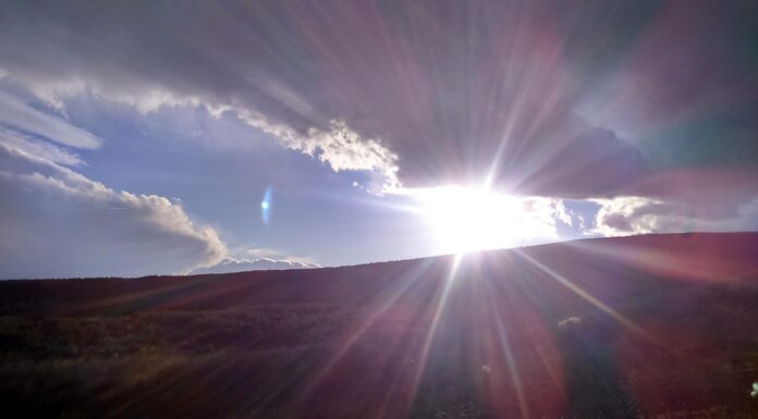 Bor és panorámakóstoló