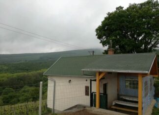 Pogányoki borkóstoló