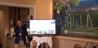 A szőlészet és borászat 21. századi kihívásai