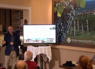 A szőlészet és borászat 21. századi kihívásai