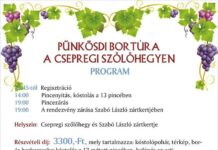 Pünkösdi bortúra Csepregen 2019