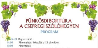 Pünkösdi bortúra Csepregen 2019