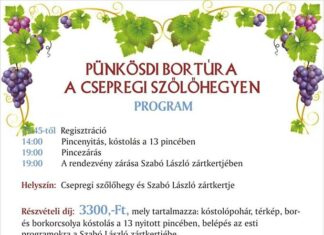 Pünkösdi bortúra Csepregen 2019