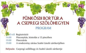 Pünkösdi bortúra Csepregen 2019