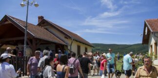 Bortúra az Alpok lábánál