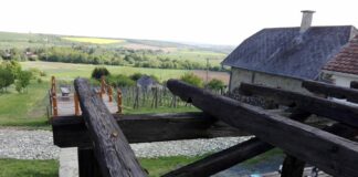 Fröccsenés a Bozsoki Szőlőhegyen