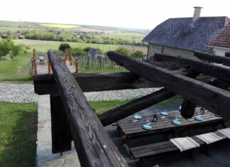 Fröccsenés a Bozsoki Szőlőhegyen