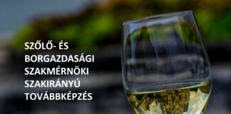 Szőlő- és borgazdasági szakmérnöki / szaktanácsadói szakirányú továbbképzési szak