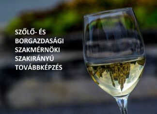 Szőlő- és borgazdasági szakmérnöki / szaktanácsadói szakirányú továbbképzési szak