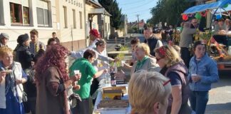 Lukácsházi szüret 2019