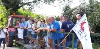 Hegybejárás Csepregen