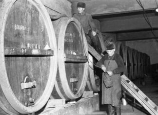 A magyar bor legsötétebb korszaka