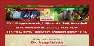 Újbor és Sajt Fesztivál 2019