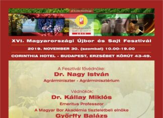 Újbor és Sajt Fesztivál 2019