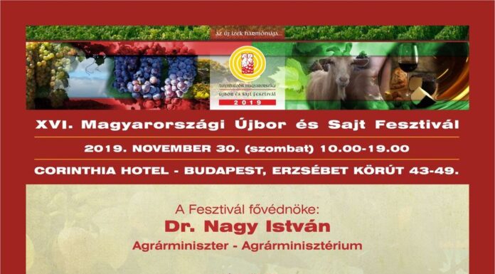 Újbor és Sajt Fesztivál 2019