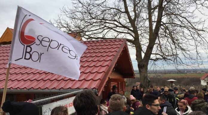 Előszilveszteri túra Csepregen 2019