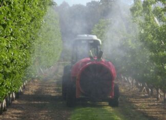 Növényvédelmi előrejelzés 2021. 07.08.