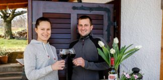 Pincétől pincéig a csepregi hegyen