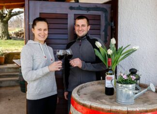 Pincétől pincéig a csepregi hegyen