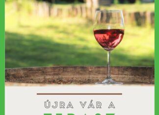 Újra vár a Mándli terasz!