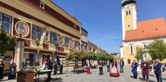 Rendhagyó hajtásbejegyzés