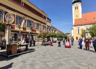 Rendhagyó hajtásbejegyzés