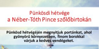 Nyitott terasz Csepregen