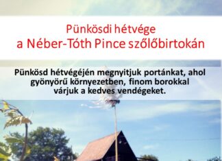 Nyitott terasz Csepregen