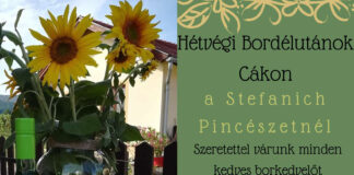 Hétvégi bordélutánok Cákon