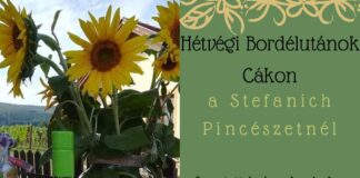 Hétvégi bordélután Cákon