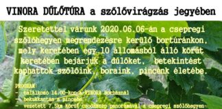 Dűlőtúra Csepregen