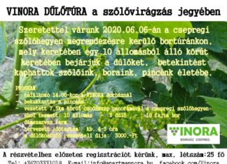 Dűlőtúra Csepregen