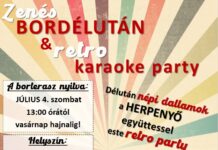 Retro karaoke party a szőlőhegyen