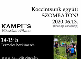 Szőlőhegyi borozás