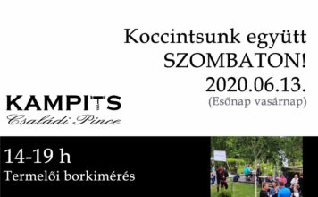 Szőlőhegyi borozás