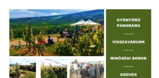 Újra nyitva a Panoráma Kóstoló