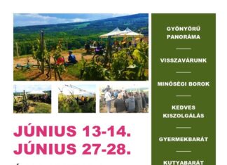 Újra nyitva a Panoráma Kóstoló