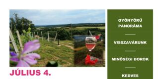 Panoráma borkóstoló