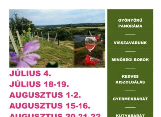 Panoráma borkóstoló