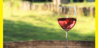 Teraszos borkóstoló