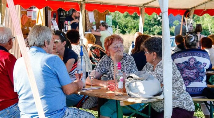 Bordélután és karaokeparti volt a csepregi hegyen
